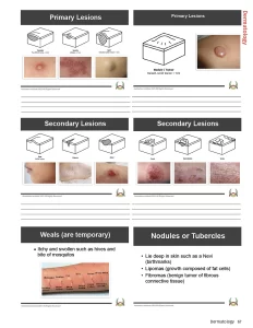 lesions and dermatology workbook