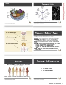 the cell workbook page